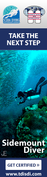sidemount-repository Take The Next Step